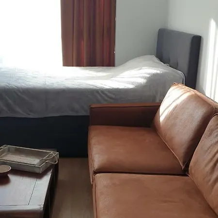 студио тони Warna